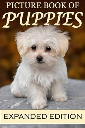 Picture Book of Puppies Expanded Edition: For Seniors with Dementia
