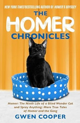 The Homer Chronicles