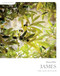 James - Storyteller - Bible Study Book
