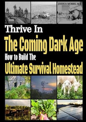 Thrive in the Coming Dark Age