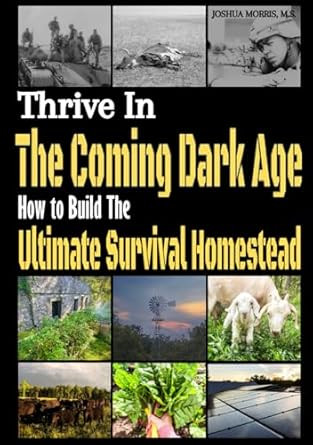 Thrive in the Coming Dark Age