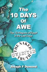 The 10 Days of Awe: The 10 Plagues of Egypt in the Last Days