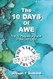 The 10 Days of Awe: The 10 Plagues of Egypt in the Last Days