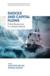 Shocks and Capital Flows
