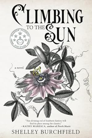 Climbing To The Sun: A novel