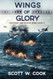 Wings of Glory: A USS Enterprise Naval Adventure Novel