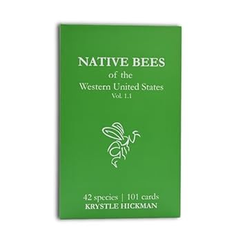BeeSip Native Bees of The Western United States Flash Cards