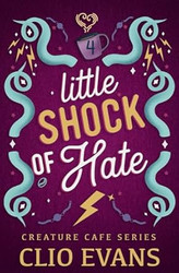 Little Shock of Hate