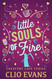 Little Souls of Fire
