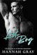 Lost Boy: A Brother's Best Friend Hockey Romance