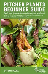 Pitcher Plants Beginner Guide