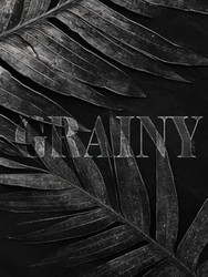 Grainy Black