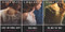 The Gemma Doyle Trilogy 3 Books Set A Great and Terrible