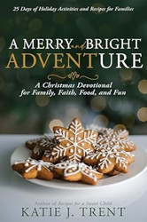 A Merry and Bright Adventure