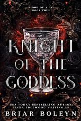 Knight of the Goddess: A Dark Fae Fantasy Romance