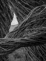 Patrick Dougherty James Florio