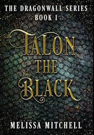 Talon the Black: A Slow Burn Fantasy Series