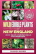 Wild Edible Plants of New England
