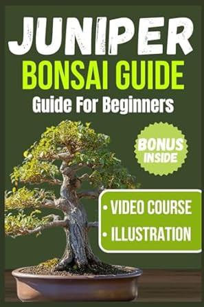 JUNIPER BONSAI GUIDE FOR BEGINNERS