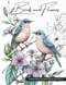 Birds and Flowers a Wildlife Coloring Book Activity for