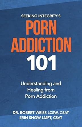 Porn Addiction 101