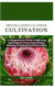 Protea Genus Flower Cultivation