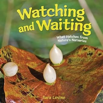 Watching and Waiting