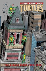 Teenage Mutant Ninja Turtles: The Mirage Years