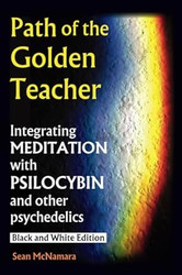 Path of the Golden Teacher Integrating MEDITATION with