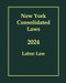 New York Consolidated Laws Labor Law 2024