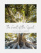 The Fruit of the Spirit