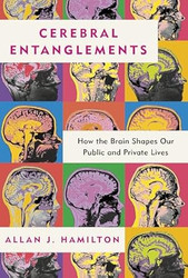Cerebral Entanglements