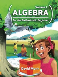 Algebra: For the Enthusiastic Beginner Volume 1