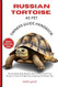 RUSSIAN TORTOISE AS PET OWNERS GUIDE HANDBOOK