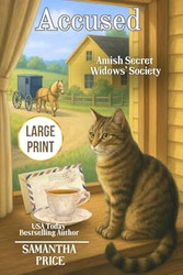 Accused LARGE PRINT