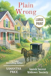 Plain Wrong LARGE PRINT