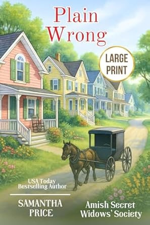 Plain Wrong LARGE PRINT