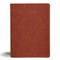 CSB Study Bible Personal Size Digital Study Edition