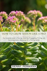 How to Grow Sedum Like a Pro