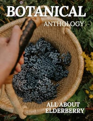 All About Elderberry