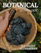 All About Elderberry