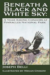 Beneath a Black and White Sky