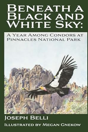 Beneath a Black and White Sky