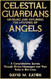 Celestial Guardians Celestial Guardians
