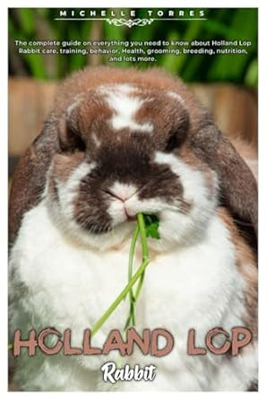 HOLLAND LOP RABBIT