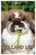 HOLLAND LOP RABBIT