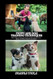PUPPY AND DOG TRAINING TECHNIQUES