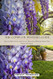 The Complete Wisteria Guide