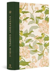 ESV Everyday Gospel Bible Artist Series