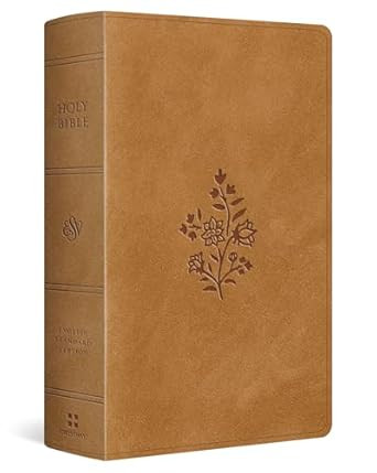 ESV Large Print Personal Size Bible